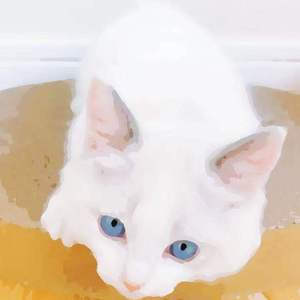 偷拍偷窥少女肏屄
